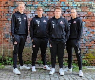 Das Team der Abteilung E-Sports des FSV Zwickau. Von links: Florian Tietz, Sascha Hendel, Cedric Günther, Marcel Gramann. 
