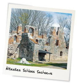 4. Schlossruine Hartenstein - 