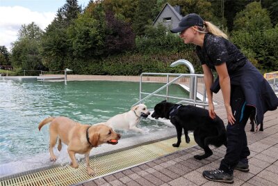Abbaden für Hunde im Freibad Raschau: Franziska Paulus aus Schwarzenberg war mit ihrer Labrador-Hündin Mila (links) dabei.