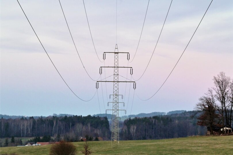 Hochspannungsleitung bei Wolfersgrün. In diese bestehende Stromtrasse zwischen dem Vogtland und Westsachsen soll die neue 110-kV-Leitung einbinden.