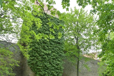 Der Pestpfarrerturm am Wallgraben ist ein Wahrzeichen entlang des Donatsringes in Freiberg.