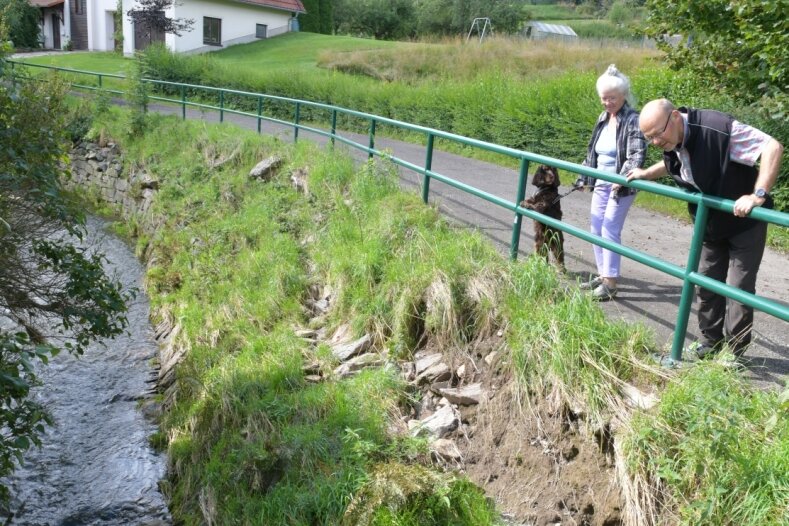 5 Millionen Euro für weiteren Hochwasserschutz am Münzbach - Das jüngste Unwetter hat auch die Böschung des Münzbachs teilweise weiter ausgespült. Claudia und Friedrich Schade sehen die Schäden bei ihren Spaziergängen mit ihrem Hund fast täglich. 
