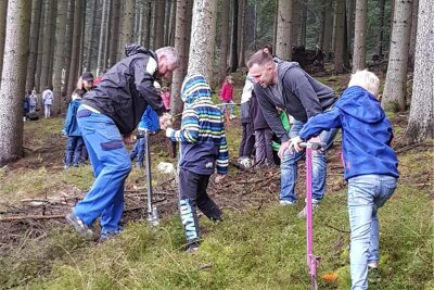 500 neue Bäume für Stadtwald in Aue-Bad Schlema - Mit Hilfe von Grundschülern sind in Oberschlema am Donnerstag zahlreiche Weißtannen gepflanzt worden.