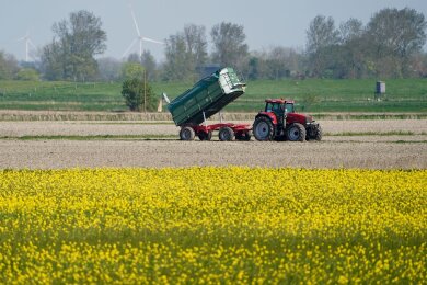 Die Umweltauflagen für Landwirte sollen auf EU-Ebene gelockert werden - das ist nicht unumstritten.