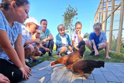 Für die Grundschüler ist der Umgang mit Hühnern eine interessante Erfahrung. Sie füttern und streicheln die Tiere gern – hier im Beisein von Bürgermeister Robert Arnold.