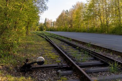 Das Bahngleis in das Gewerbegebiet Auerbach-West ist verwaist. Doch ab Mai sollen dort regelmäßig Holzzüge beladen werden.