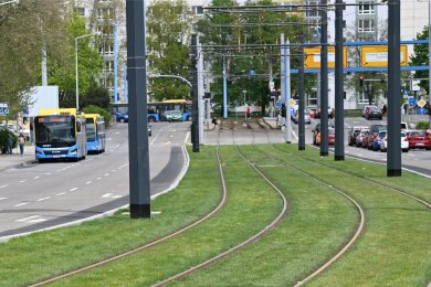 Noch fahren auf der Zwickauer Straße in Chemnitz die Busse des Schienenersatzverkehrs. Ab 1. Mai sollen auf den frisch verlegten und nunmehr begrünten Gleise wieder Bahnen der Linie 1 unterwegs sein.