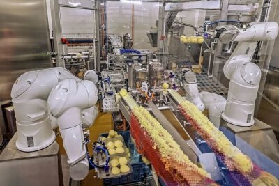 Aus der Teigmasse werden die Klöße geformt von Roboterarmen zu jeweils zwei Portionen abgepackt. Diese können pro Tag rund 180.000 Klöße in die Verpackungen legen.