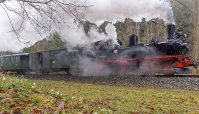 Vier Lokomotiven werden über Ostern für die Fahrten durch das Schwarzwasser- und Preßnitztal zwischen Jöhstadt und Steinbach angeheizt. 