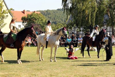 Das Pferdetheater im Rochlitzer Ortsteil Noßwitz hat seine Premiere gefeiert. Rund 300 Zuschauer ließen sich das Spektakel nicht entgehen.
