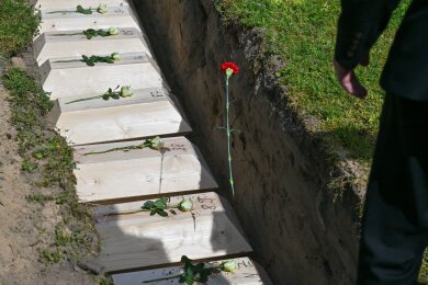 Nachdem im brandenburgischen Wuhden sterbliche Überreste von acht deutschen Soldaten aus dem Zweiten Weltkrieg eingebettet wurden, kommen Menschen zum Gedenken an den Ort. So wie dieser Besucher, der eine rote Nelke in eine Grabstelle wirft.