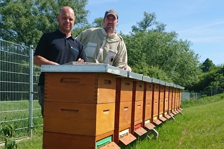 Zwölf Bienenvölker hat der Mülsener Imker Sven Rudolph (r.) der Firma Heinrich Schmid in Crossen vor die Nase gesetzt - links Mitarbeiter Nico Künzel.
