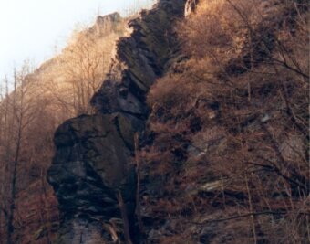 63-Jähriger stürzt an Felswand ab - tot - Einer der größten Felsen im Steinicht ist der Dornbusch mit über 40 Meter Höhe. Unterhalb verläuft der Wanderweg durch das Elstertal. In 15 Meter Höhe war der 63-jährige Mann am Freitag abgestürzt. 