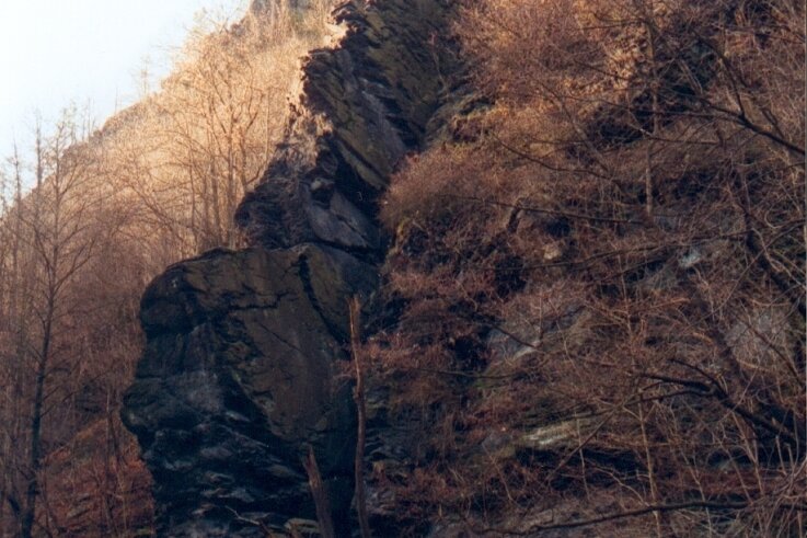 63-Jähriger stürzt an Felswand ab - tot - Einer der größten Felsen im Steinicht ist der Dornbusch mit über 40 Meter Höhe. Unterhalb verläuft der Wanderweg durch das Elstertal. In 15 Meter Höhe war der 63-jährige Mann am Freitag abgestürzt. 