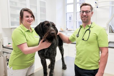 Es sind die letzten Tage in der bisherigen Praxis am Schlettauer Markt. Tierarzt Alexander Armbrecht und sein Team – im Bild Stephanie Franke mit Hund York – werden in Kürze in neue Praxisräume ziehen.