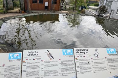 Die neue Schilder im Klingenthaler Tierpark. Das für Juni geplante Fest fällt in diesem Jahr aus.