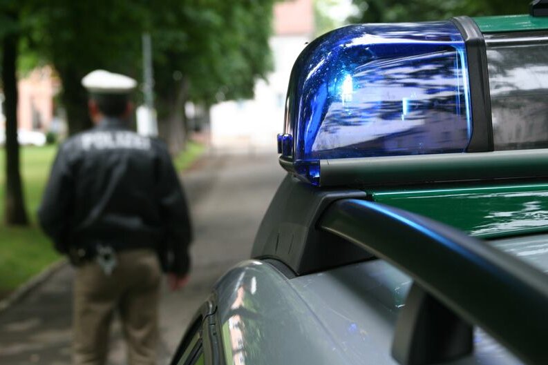 Artikelarchiv der Freien Presse vom 03.08.2013 | Freie Presse