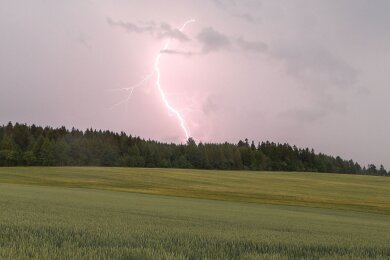 Ein Blitz ist bei einem Gewitter in der Nähe von Langenau über einem Waldstück zu sehen. Es kann am Dienstag Gewitter in Sachsen geben.