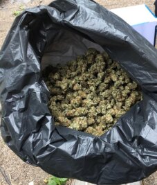 700 Gramm Marihuana bei 60-jährigem Drogenbauer sichergestellt - 