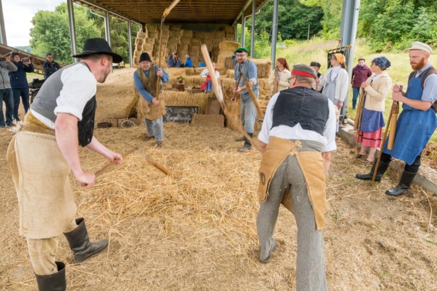 700 Jahre Dittmannsdorf: Von Dreschflegelgruppe bis zur historischen Hochzeit - 