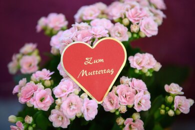 Blumen zählen zu den beliebtesten Geschenken zum Mutterag (Symbolbild).