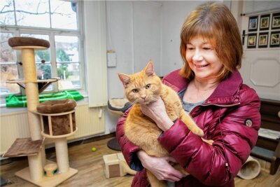 Die Vorsitzende des Tierschutzvereins Flöha und Umgebung, Petra Vogelsang, mit Kater Rambo, der Mitte August in Niederwiesa gefunden und in die Katzenstation gebracht wurde. 