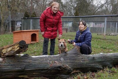 Tierschutzvereinschefin Claudia Ruf (rechts) und Schatzmeisterin Sabine Munthel haben auf der Suche nach Einnahmen auch Tiere aus anderen Landkreisen aufgenommen. Ein Beispiel ist Mischlingshund Bob. 