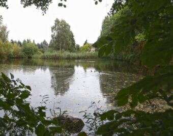Die Sportfischer aus Waldenburg haben sich als neue Pächter des Mühlteichs im Oberwieraer Ortsteil Niederwiera empfohlen und werden nach einer jüngsten Entscheidung des Gemeinderates ab Anfang 2022 die Bewirtschaftung des Gewässers übernehmen. 