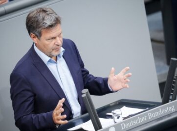 Wirtschaftsminister Robert Habeck im Bundestag.