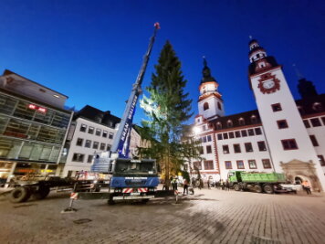 80 Jahre alt, 25 Meter hoch: Der Chemnitzer Weihnachtsbaum steht - 
