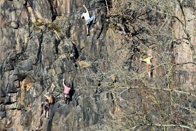 Der Felsen der Kriebethaler Wände gegenüber der Burg Kriebstein ist eine beliebte Kletterroute. 