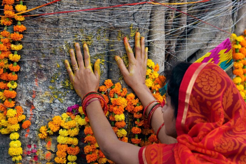 Eine Frau berührt den Stamm eines Banyan-Baums, nachdem sie im Rahmen der Rituale zum Vat-Purnima-Fest in Prayagraj, Indien, ein Band um ihn gebunden hat. Vat-Purnima oder Vat Savitri wird an einem Vollmondtag gefeiert, an dem verheiratete Frauen für die Langlebigkeit ihrer Ehemänner beten.