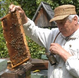 
              <p class="artikelinhalt">Imker Klaus Schreyer aus Cunersdorf ist Vorsitzender des Imkervereins Annaberg und hat 20 Bienenvölker.</p>
            