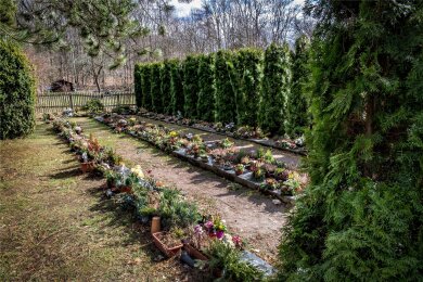 Die alte Urnengrabanlage auf dem Falkenauer Friedhof wird durch eine neue ersetzt.