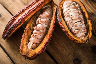 Halbierte Kakaofrüchte, im Inneren gut zu sehen: die Kakaosamen.