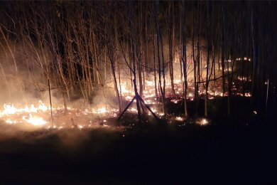 Nach einem Schießtraining mit Leuchtspurmunition war es auf einem Truppenübungsplatz bei Gelobtland zu einem Waldbrand gekommen.