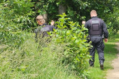 Polizisten suchen im sächsischen Döbeln nach einem vermissten neun Jahre alten Mädchen.