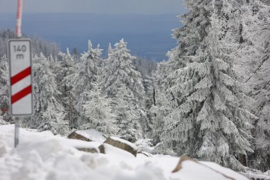 Schneebedeckt sind die Fichten auf dem Brocken. Eine Kaltwetterfront brachte in den höheren Lagen viel Schnee.