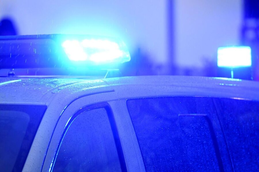 Blaulichter leuchten auf dem Dach eines Polizeifahrzeugs.
