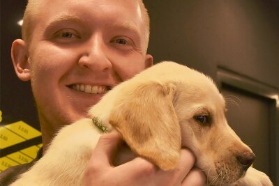 Für Labrador-Golden Retriever Buddy ist die Jugendherberge in Schöneck sein neues Zuhause. Herbergsleiter Christoph Dietzsch will ihn zum Therapiehund ausbilden.