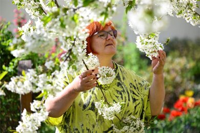 „In diesem Jahr kam der Mai vor dem April“, scherzt Gartenfachberaterin Katrin Keiner aus Dresden mit Blick auf die rasante Kirschblüte Anfang des Monats.
