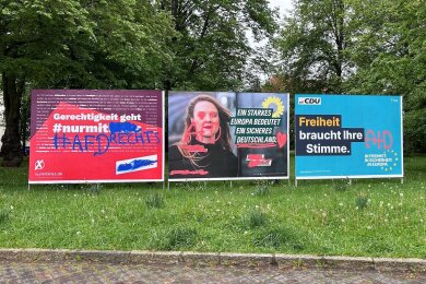 Am Plauener Dittrichplatz wurden mehrere Wahlplakate beschmiert. Mehr als 30 Standorte für Großplakate gibt es in der Stadt.