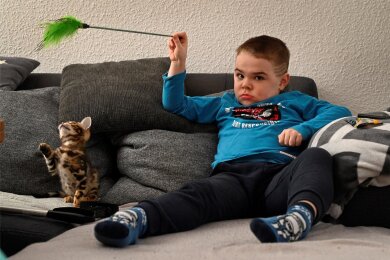 Gemütlich in der Sofaecke mit der Katze zu spielen, ist dem zehnjährigen Finn aus der Lausitz am liebsten. Doch er muss sich bewegen, damit seine Muskeln durch die Krankheit Duchenne nicht noch schwächer werden.