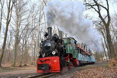 Die Dampfeisenbahn könnte für viele Besucher die Hauptattraktion beim großen Familienwochenende sein.