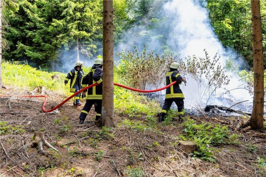 Ab Freitag erhöhte Waldbrandgefahr im Vogtland: Was Besucher im Wald nun vermeiden sollten - Achtsamkeit ist beim Waldbesuch nun besonders geboten, damit es nicht brennt, wie kürzlich bei Falkenstein.