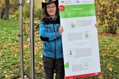 "Ab in die Mitte": Sächsischer Städtewettbewerb startet in Oederan - Susanne Herklotz vom Verein "Wildes Oederan" mit den ersten Plakaten zum Essbaren Wildpflanzenpark.
