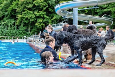 Ab ins Freibad: Wasserspaß für 60 Hunde in Penig - 