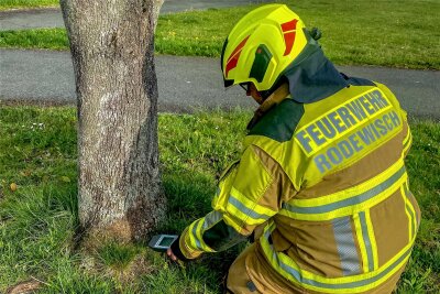 ABC-Alarm: Feuerwehr in Auerbach im Großeinsatz - Experten der Feuerwehr untersuchten einen Baum auf radioaktive Strahlung. Ein Geigerzähler hatte ausgeschlagen.