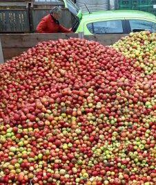 Abfüllanlage läuft auf Hochtouren - Die Apfelernte fiel 2021 besonders gut aus.
