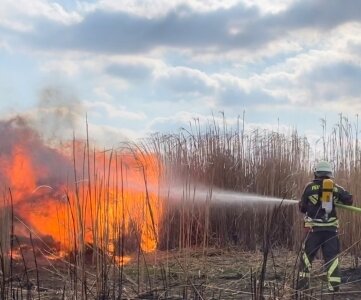 Die Feuerwehr löschte den Feldbrand am Freitagnachmittag in Rossau.